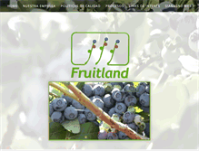Tablet Screenshot of fruitland.cl